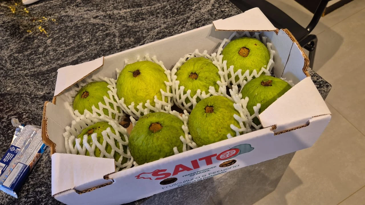 Goiabas selecionadas em uma caixa com a marca Saito.
