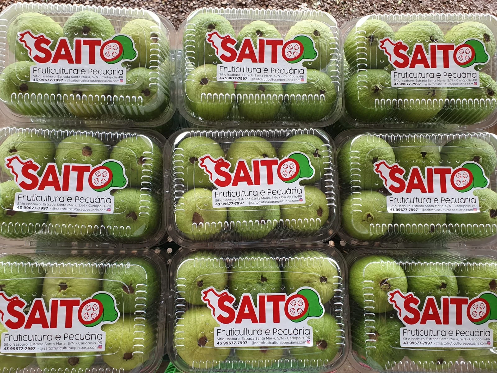Frutos em embalagens com a marca Saito.